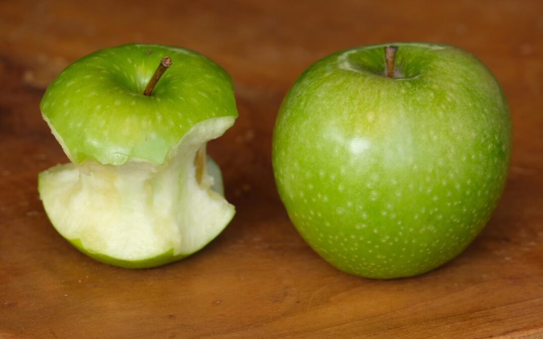 Bonus Malus