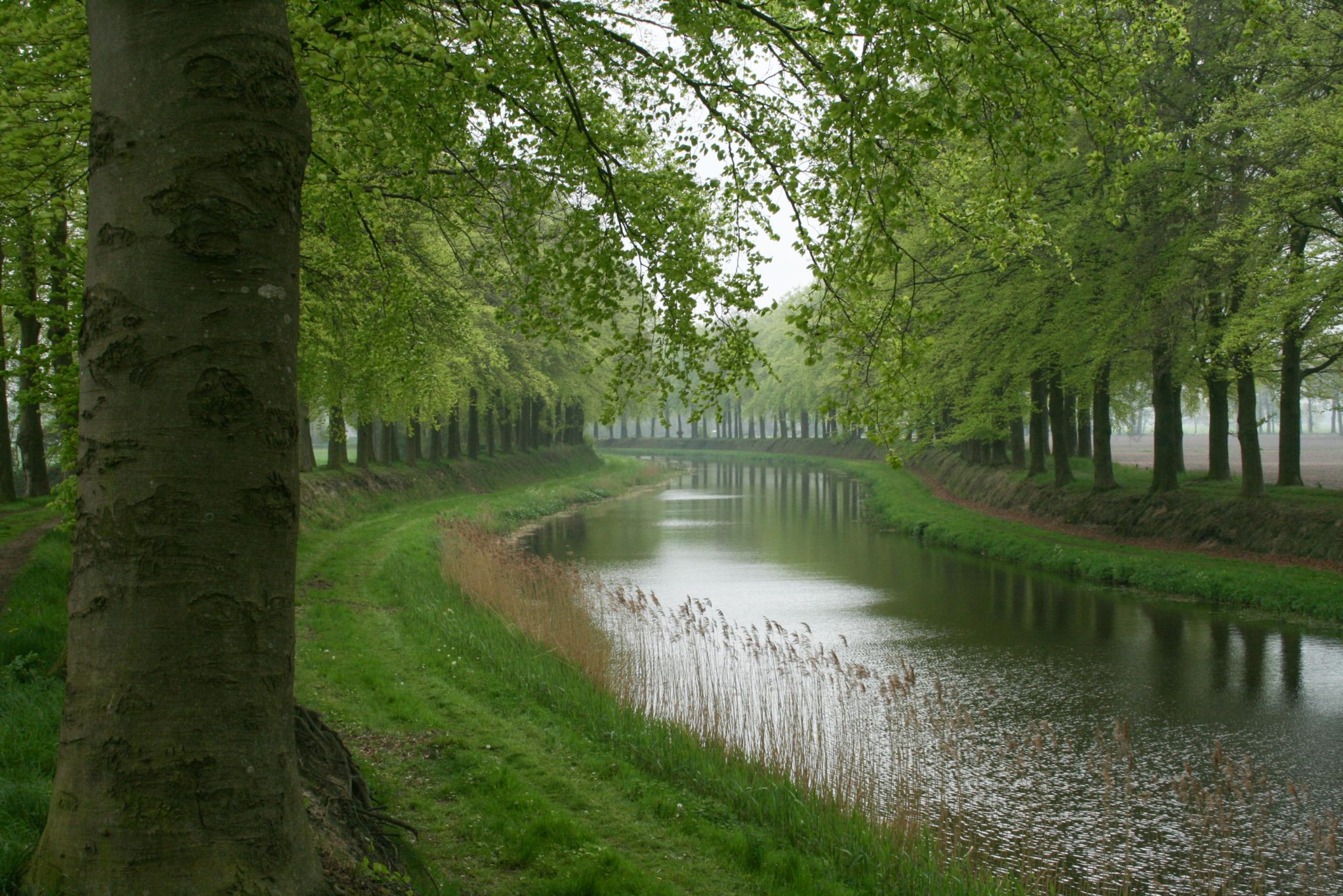 De Schipbeek tussen Holten en Laren langs het Pieterpad